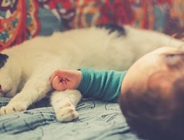 Baby and cat lying on a bed